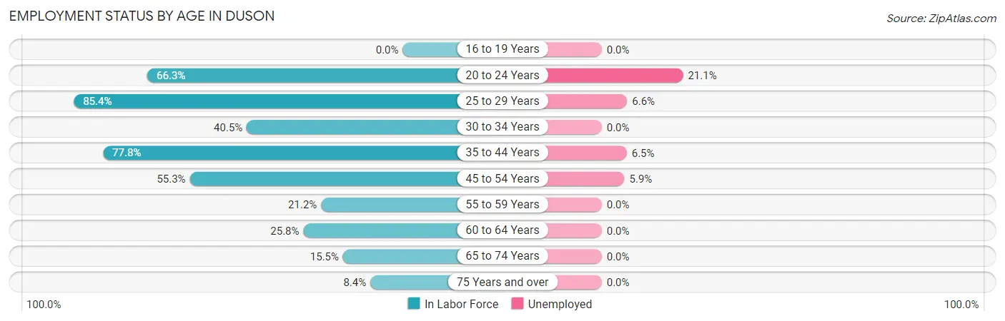 Employment Status by Age in Duson