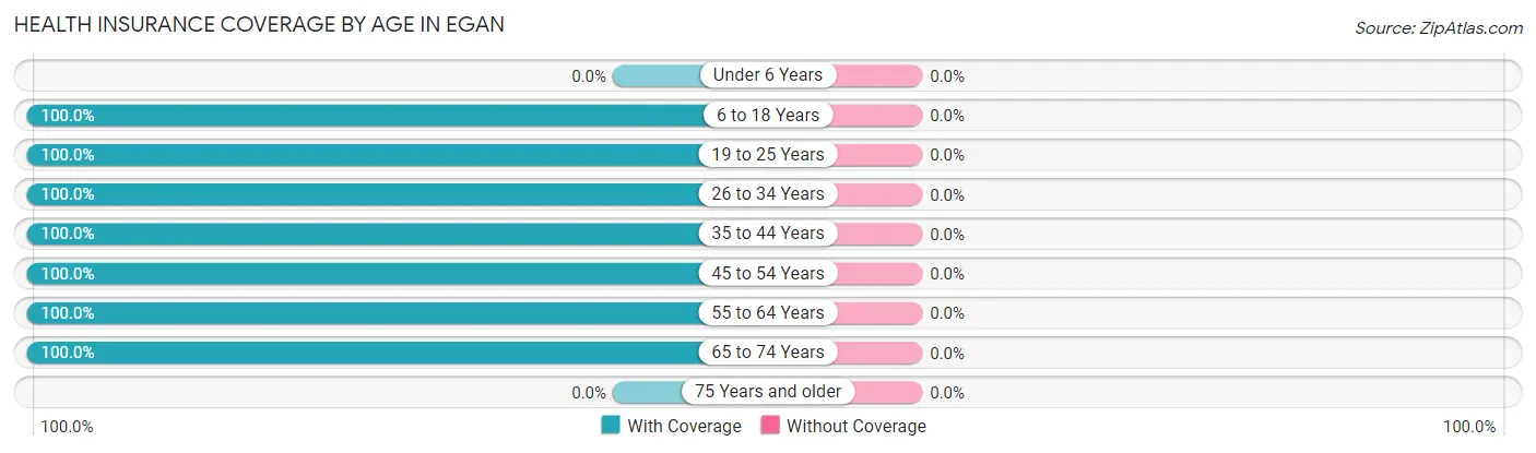 Health Insurance Coverage by Age in Egan