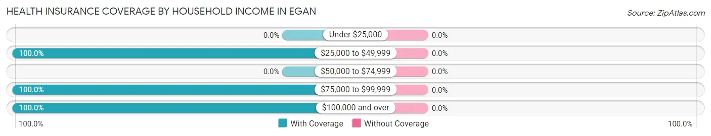 Health Insurance Coverage by Household Income in Egan