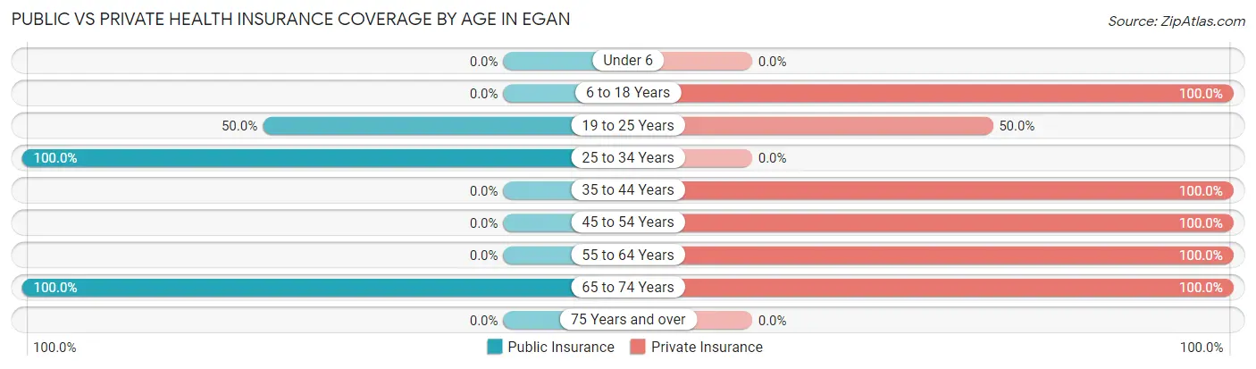 Public vs Private Health Insurance Coverage by Age in Egan