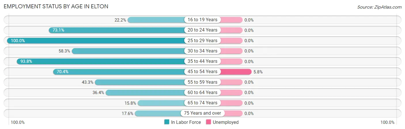 Employment Status by Age in Elton