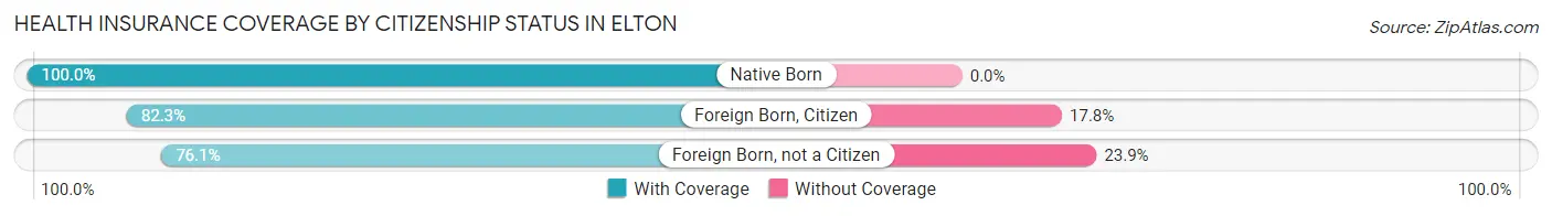 Health Insurance Coverage by Citizenship Status in Elton