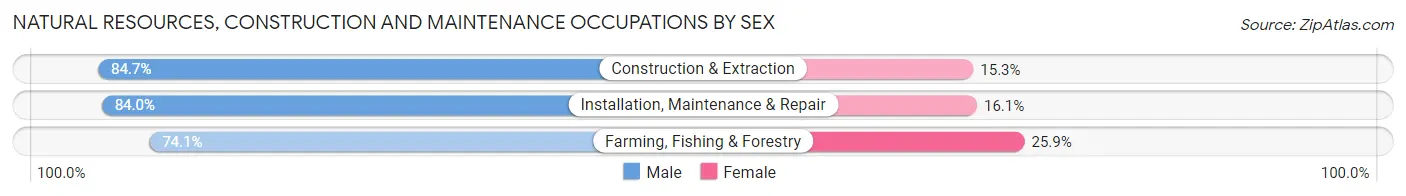 Natural Resources, Construction and Maintenance Occupations by Sex in Eunice