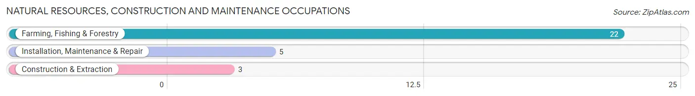 Natural Resources, Construction and Maintenance Occupations in Fenton