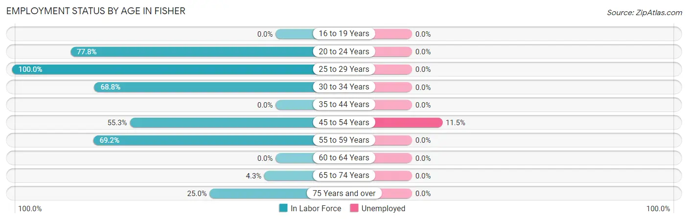 Employment Status by Age in Fisher