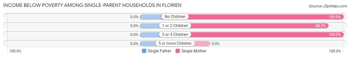 Income Below Poverty Among Single-Parent Households in Florien