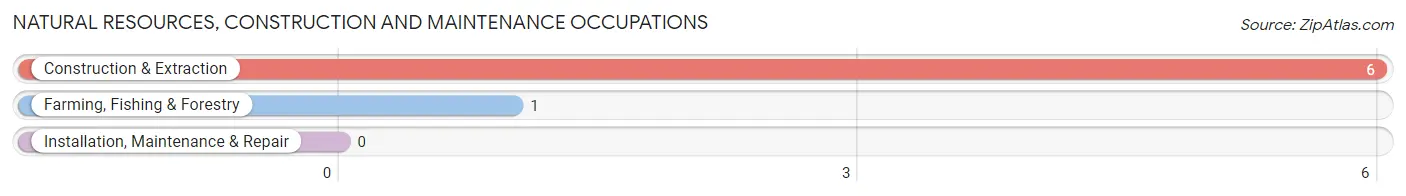 Natural Resources, Construction and Maintenance Occupations in Forest