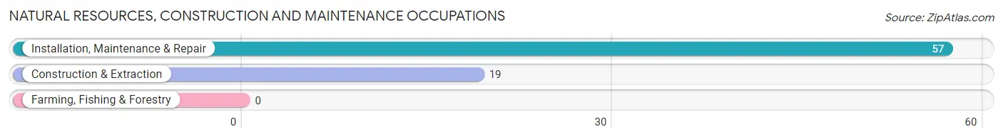 Natural Resources, Construction and Maintenance Occupations in Fort Polk North