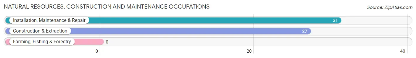 Natural Resources, Construction and Maintenance Occupations in French Settlement