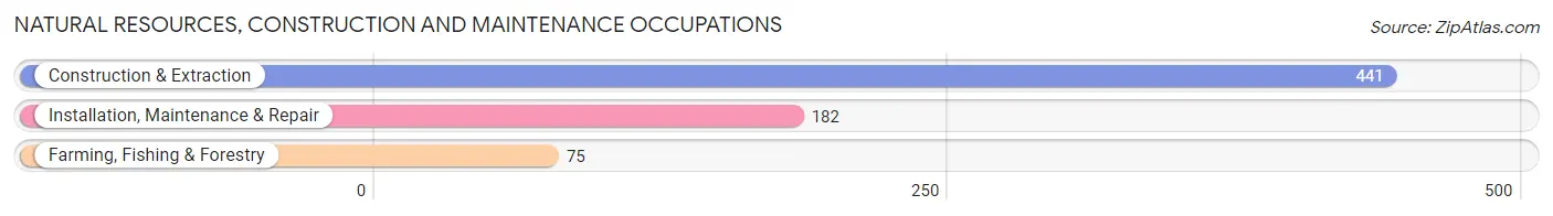 Natural Resources, Construction and Maintenance Occupations in Gardere