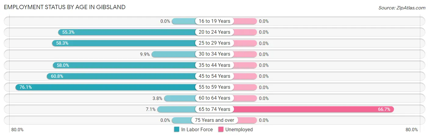 Employment Status by Age in Gibsland