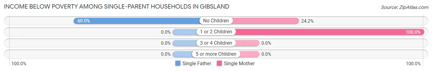 Income Below Poverty Among Single-Parent Households in Gibsland