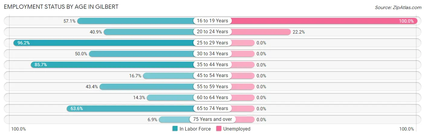 Employment Status by Age in Gilbert