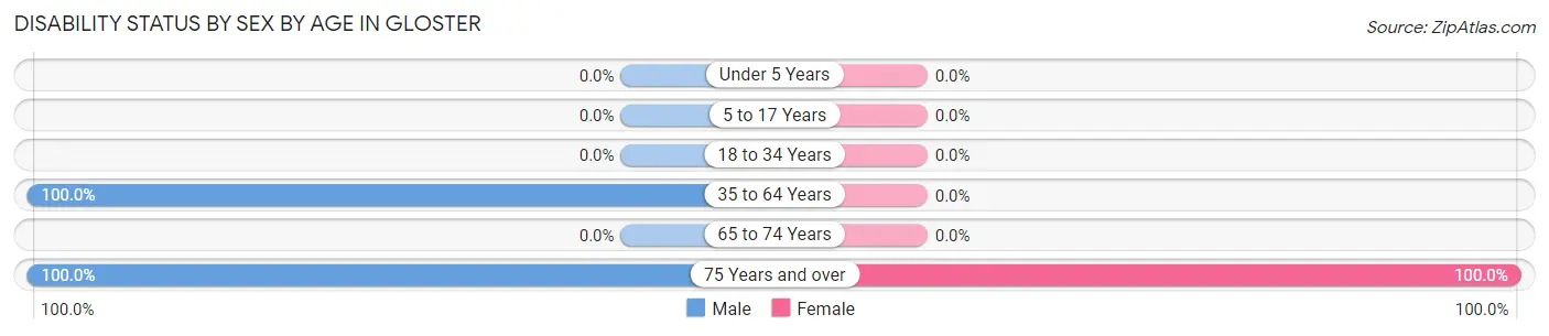 Disability Status by Sex by Age in Gloster