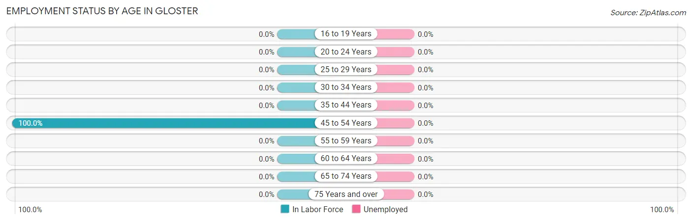 Employment Status by Age in Gloster