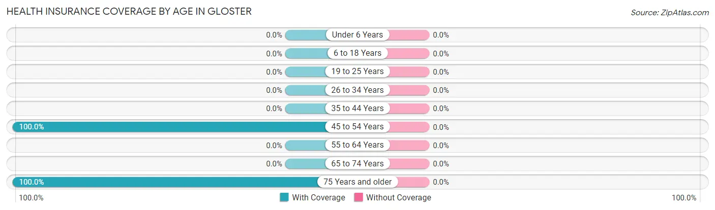 Health Insurance Coverage by Age in Gloster