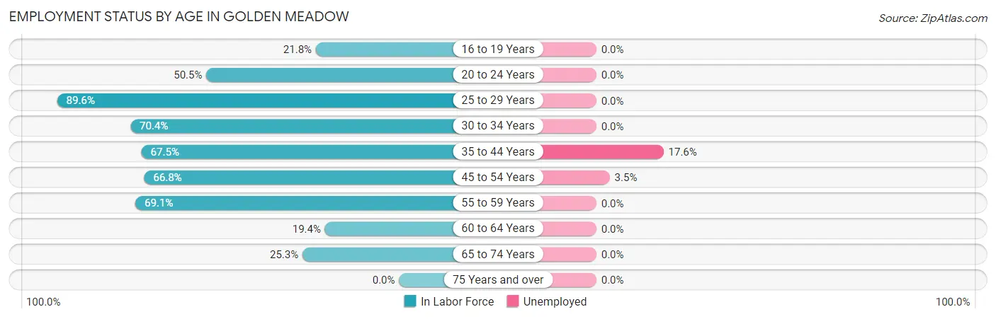 Employment Status by Age in Golden Meadow