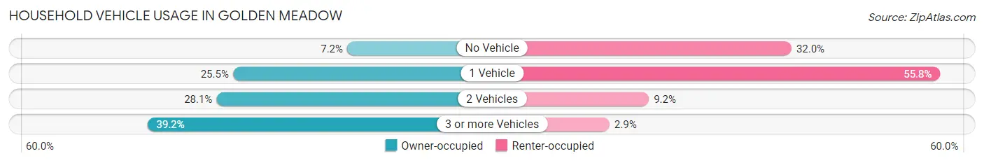 Household Vehicle Usage in Golden Meadow