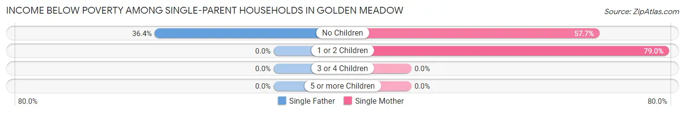 Income Below Poverty Among Single-Parent Households in Golden Meadow