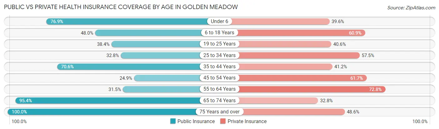Public vs Private Health Insurance Coverage by Age in Golden Meadow