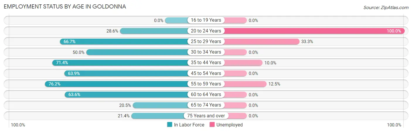 Employment Status by Age in Goldonna