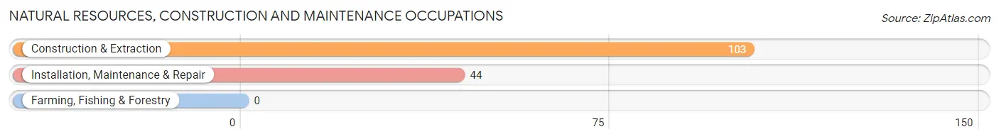 Natural Resources, Construction and Maintenance Occupations in Gramercy