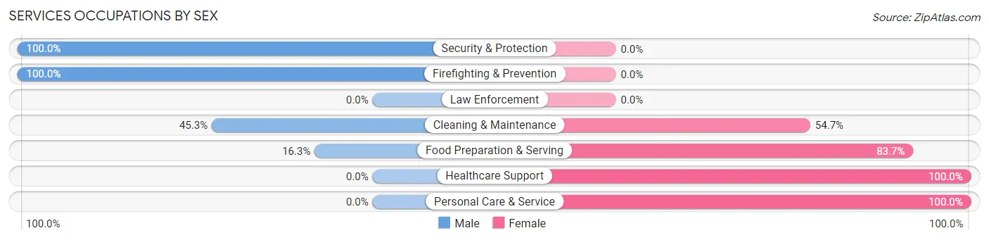 Services Occupations by Sex in Gray