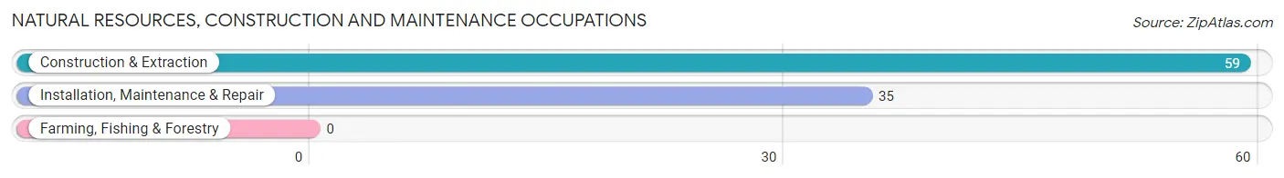 Natural Resources, Construction and Maintenance Occupations in Hahnville