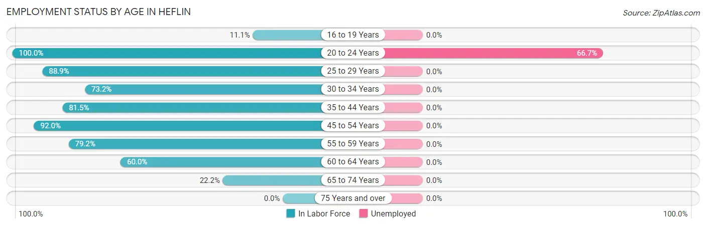 Employment Status by Age in Heflin
