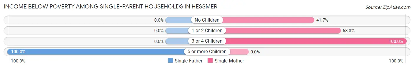Income Below Poverty Among Single-Parent Households in Hessmer