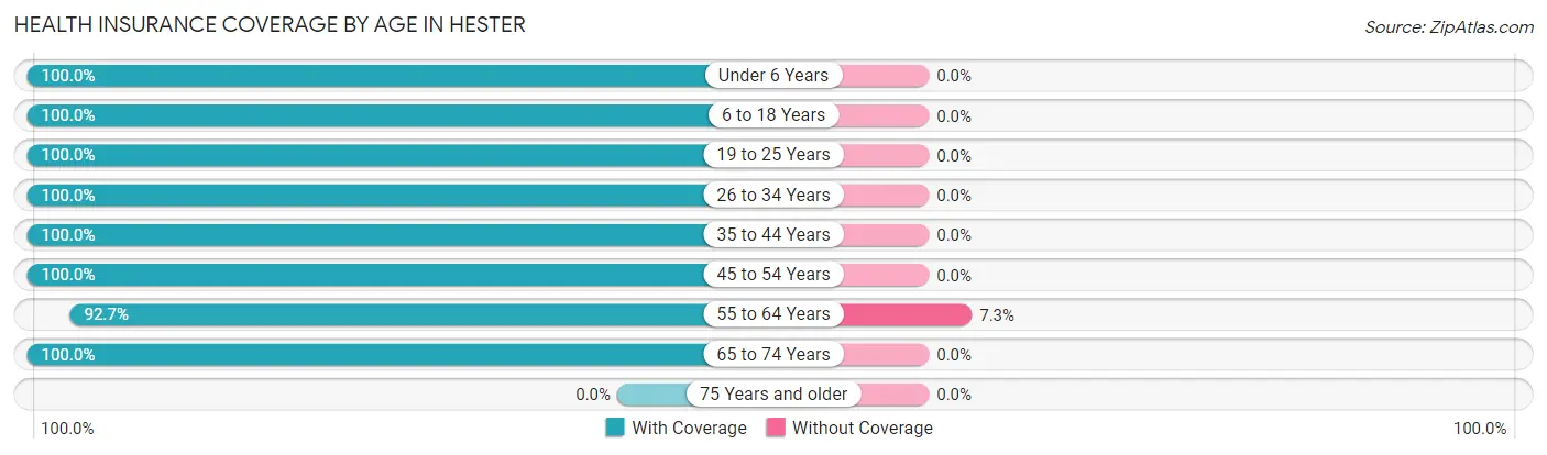 Health Insurance Coverage by Age in Hester