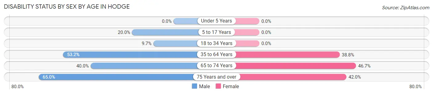 Disability Status by Sex by Age in Hodge