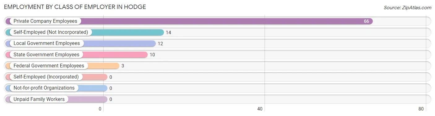 Employment by Class of Employer in Hodge