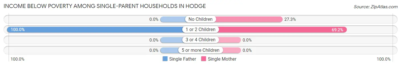 Income Below Poverty Among Single-Parent Households in Hodge