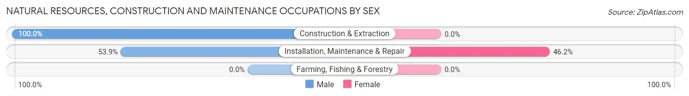 Natural Resources, Construction and Maintenance Occupations by Sex in Hodge