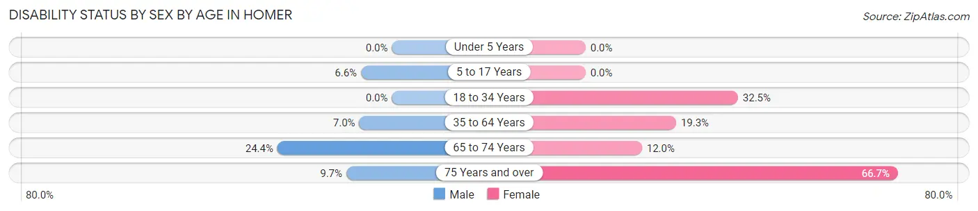 Disability Status by Sex by Age in Homer