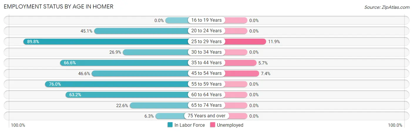 Employment Status by Age in Homer