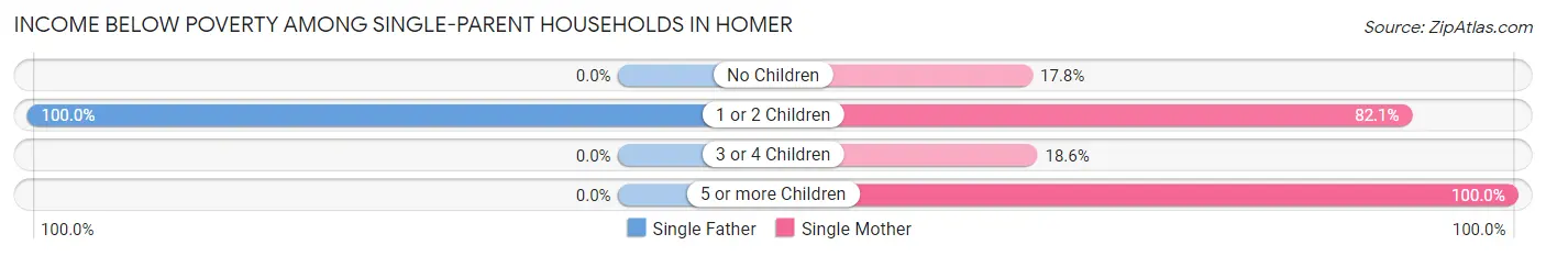 Income Below Poverty Among Single-Parent Households in Homer