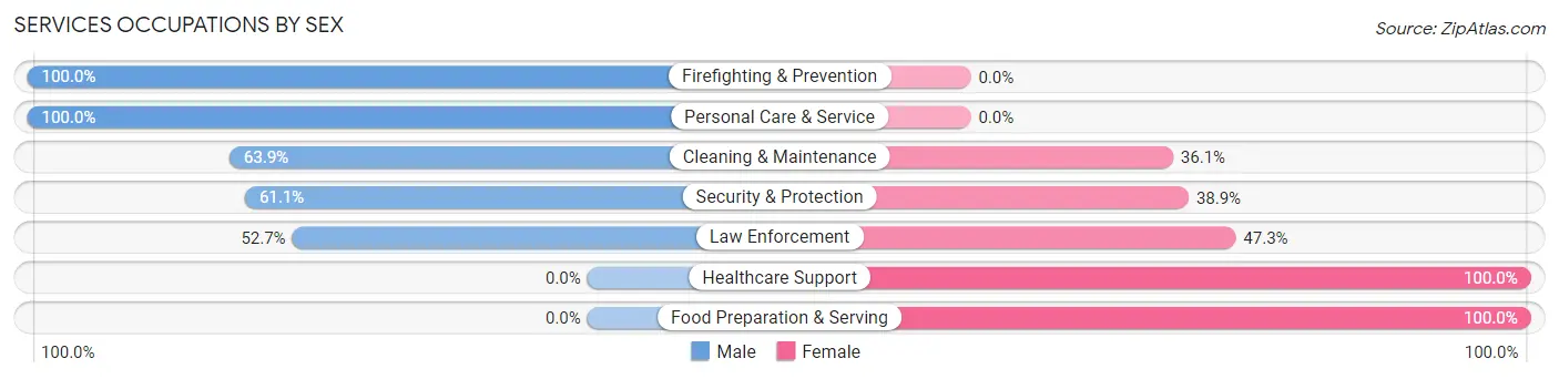 Services Occupations by Sex in Homer
