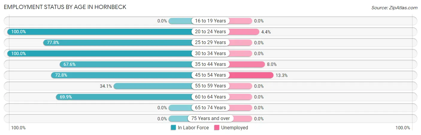 Employment Status by Age in Hornbeck