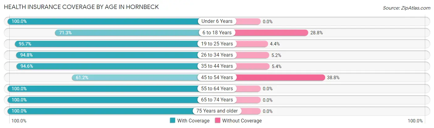 Health Insurance Coverage by Age in Hornbeck