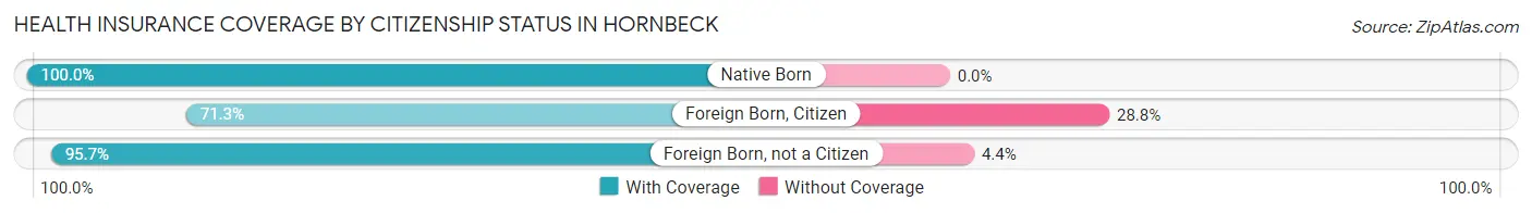 Health Insurance Coverage by Citizenship Status in Hornbeck