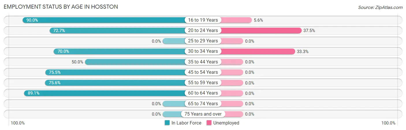 Employment Status by Age in Hosston