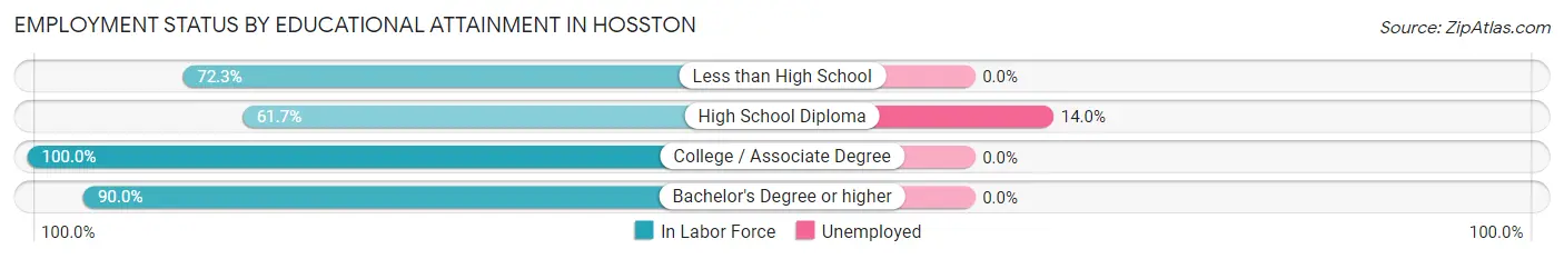 Employment Status by Educational Attainment in Hosston