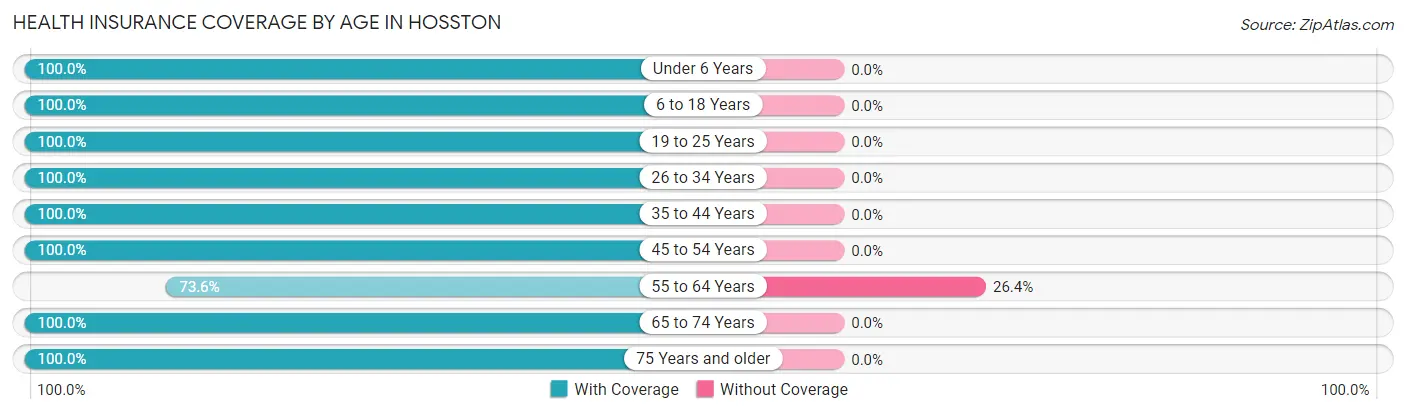 Health Insurance Coverage by Age in Hosston