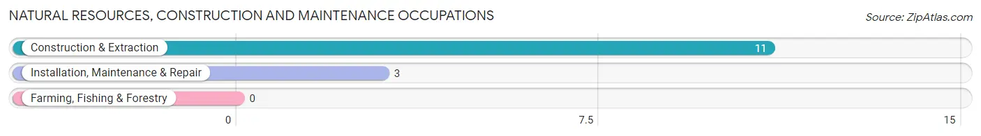 Natural Resources, Construction and Maintenance Occupations in Ida