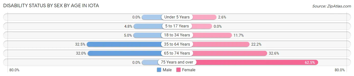 Disability Status by Sex by Age in Iota