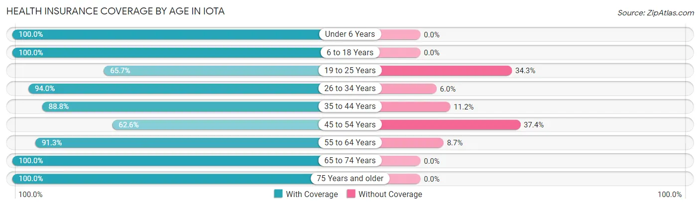 Health Insurance Coverage by Age in Iota