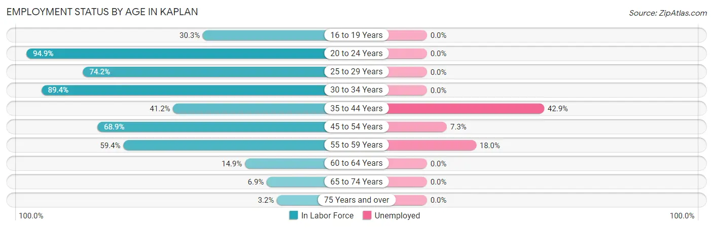 Employment Status by Age in Kaplan