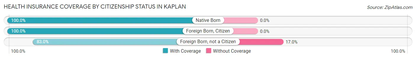 Health Insurance Coverage by Citizenship Status in Kaplan